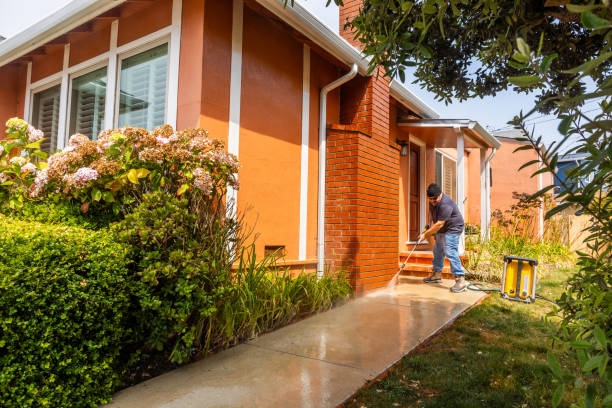 Best Roof Pressure Washing  in Chaffee, MO