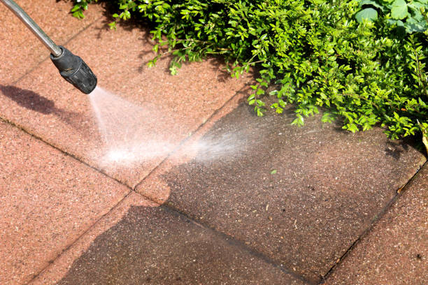 Best House Pressure Washing  in Chaffee, MO